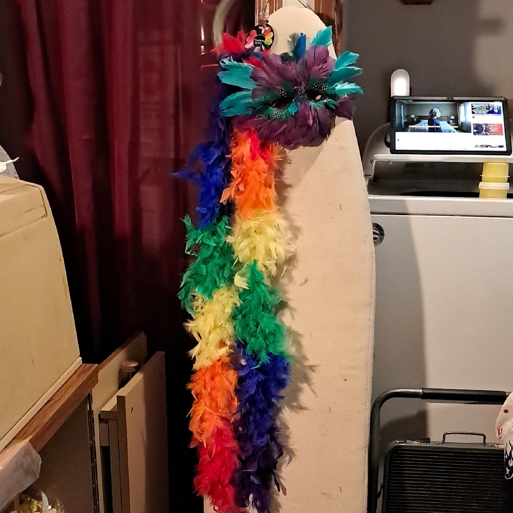 Colorful Feather Boa And Feather Mask.